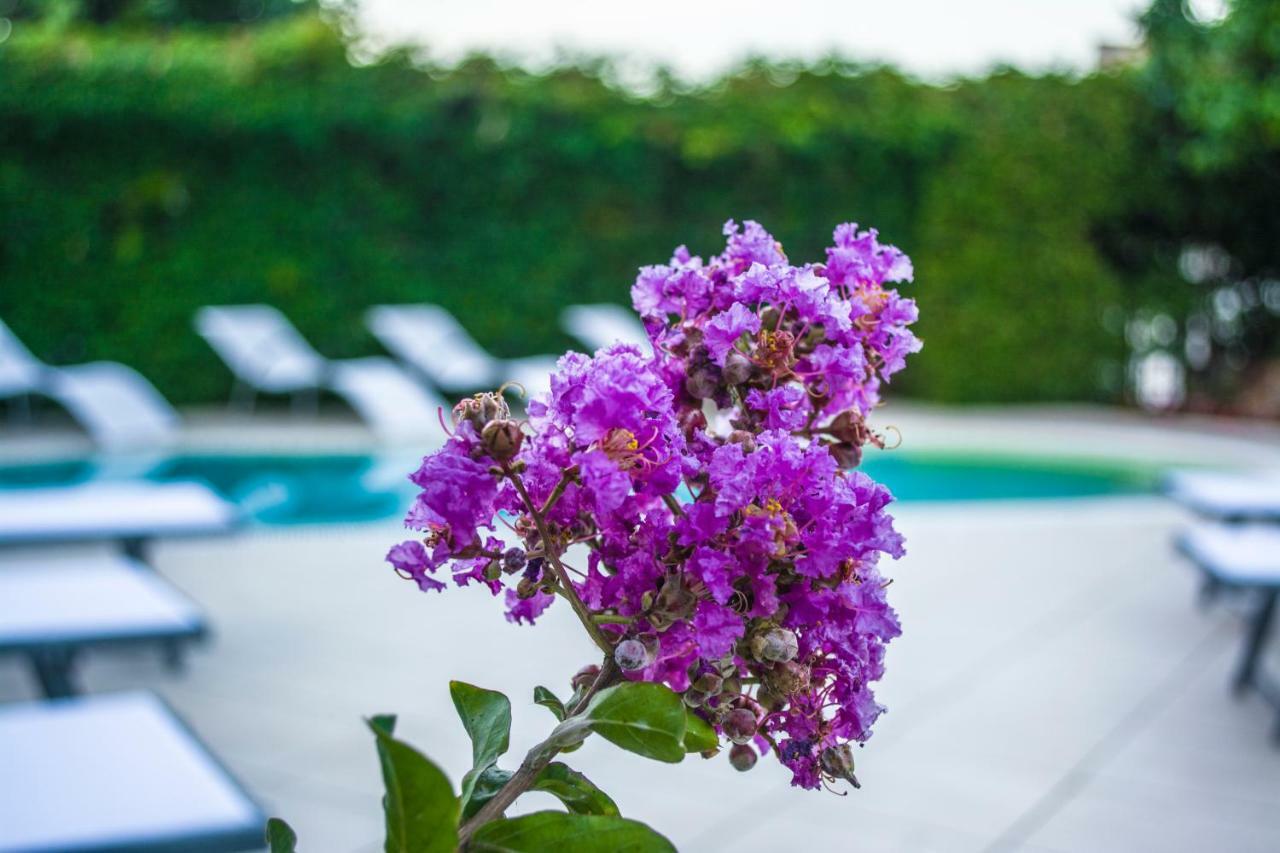 Villa Marylu' Ischia Eksteriør billede